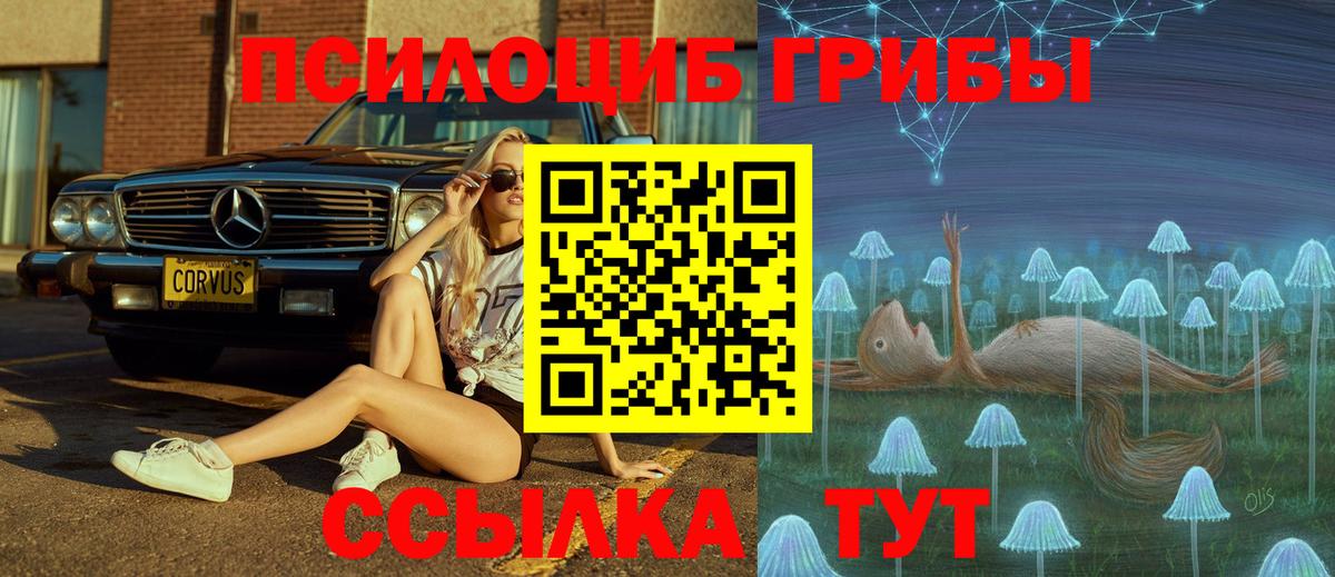 Мариинск  Галлюциногенные грибы Psilocybine cubensis  Псилоцибиновые грибы ЛСД  Вход с VPN 